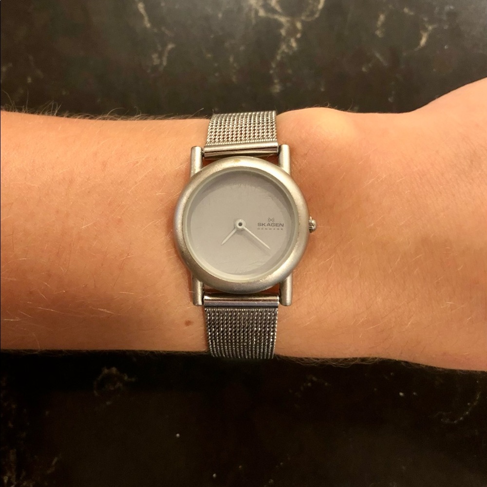 Silver Skagen mesh watch